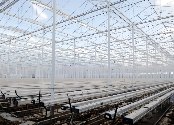 結(jié)構(gòu)系統(tǒng)